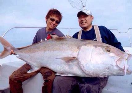 夢見釣到大魚|夢見魚